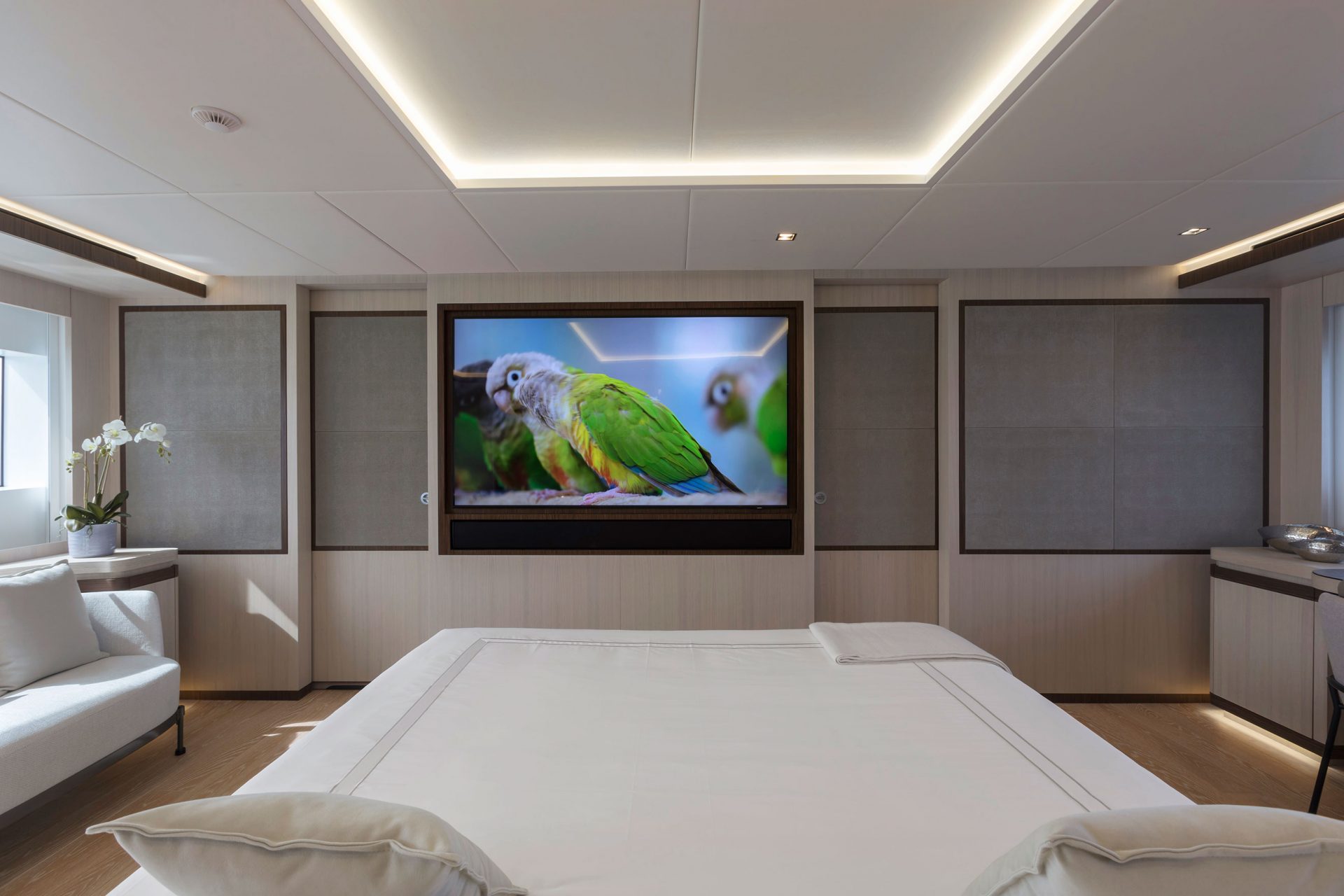 Camera yacht Mangusta con TV e pappagallo sullo schermo.